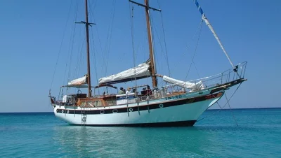 Tour en barco / Alcatraz 4h