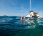 Tour en barco / Catamaran 4h daytrip