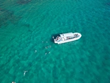 Tour en barco / Megalodon 2h30